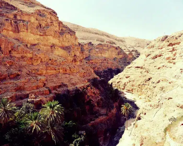 Centre Israël - Oasis de Wadi Qelt