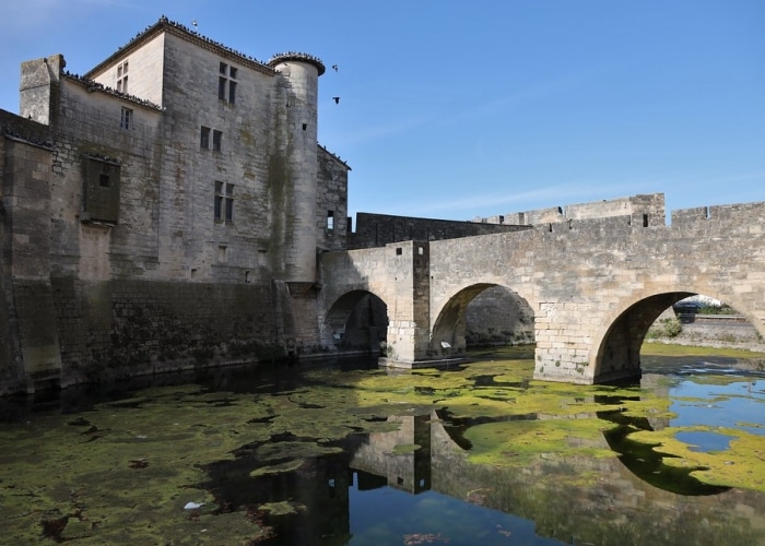 Camargue - Aigues-Mortes