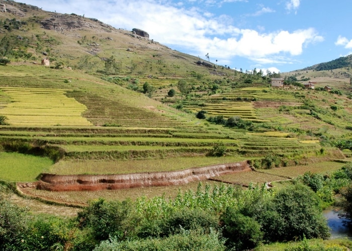 Madagascar - Ambositra
