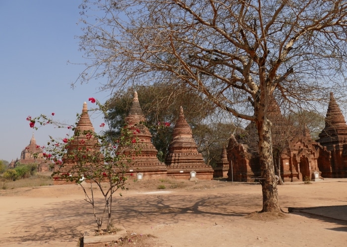 Myanmar - Bagan