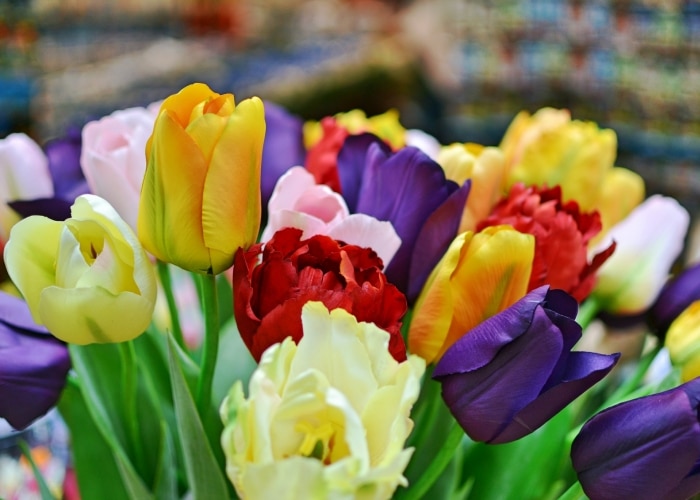 Amsterdam - Bloemenmarkt