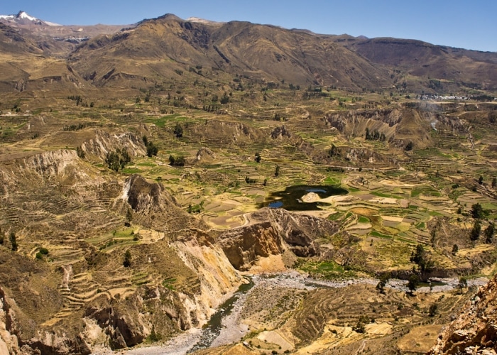 Pérou - canyon de Colca