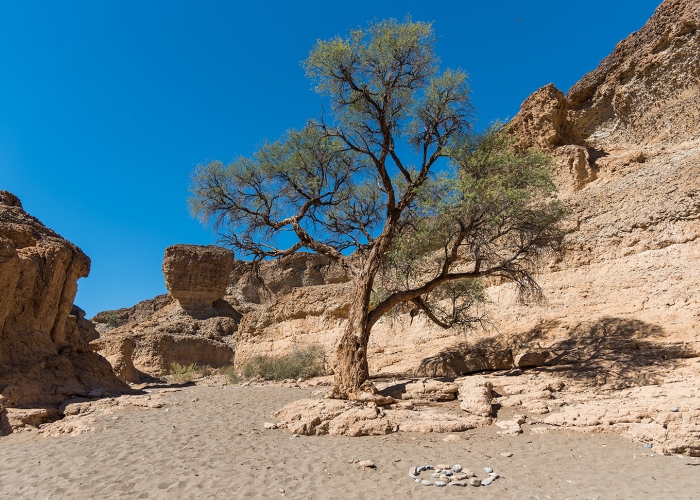 nAMIBIE - Canyon de Sesriem