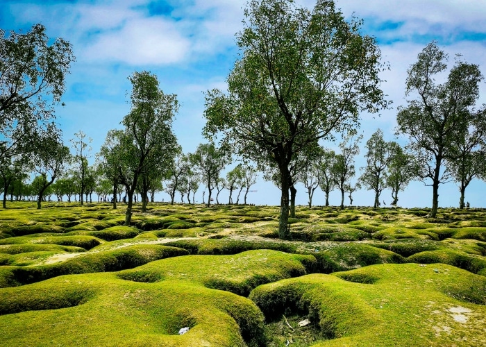 Bangladesh - Chittagong