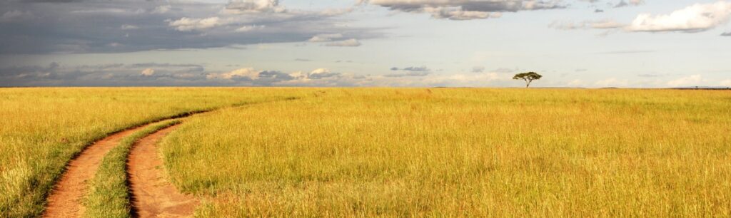 Guides touristiques en Afrique du Sud - Visites guidées