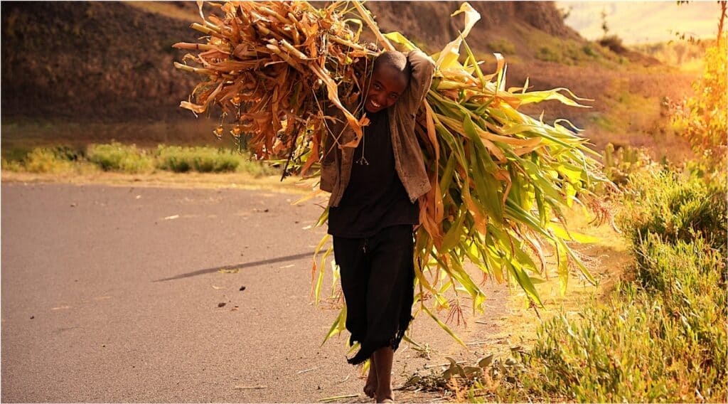 Guides touristiques en Ethiopie