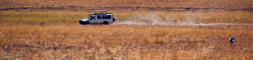 Guides touristiques en Tanzanie