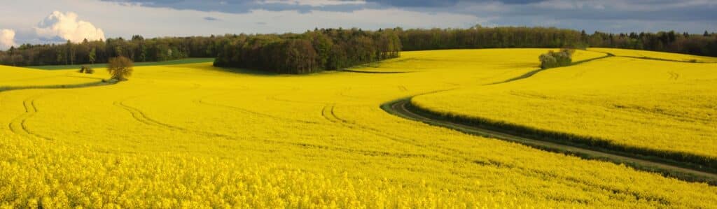 Guides touristiques en Bourgogne