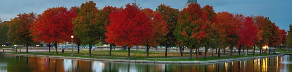 Guides touristiques à Montréal