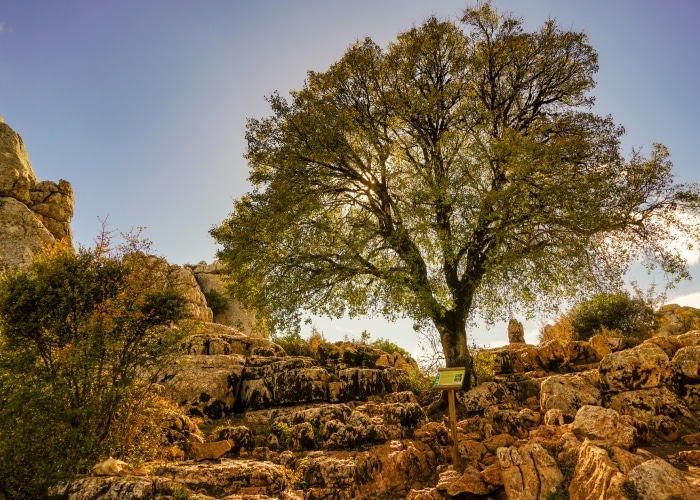 Espagne - El Torcal de Antequera