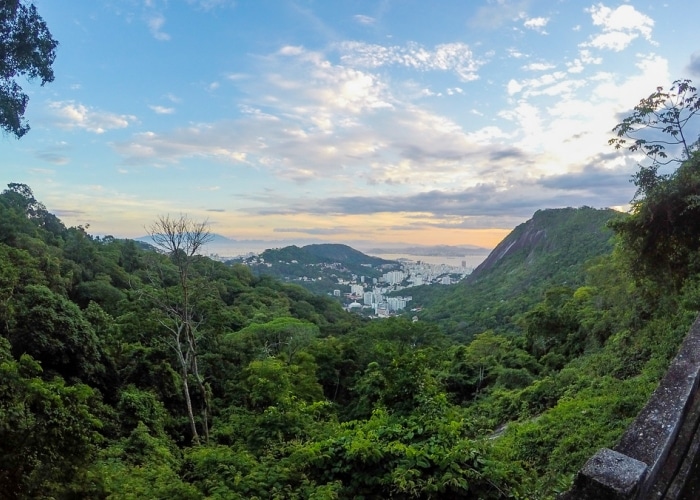 Rio de Janeiro - forêt de Tijuca