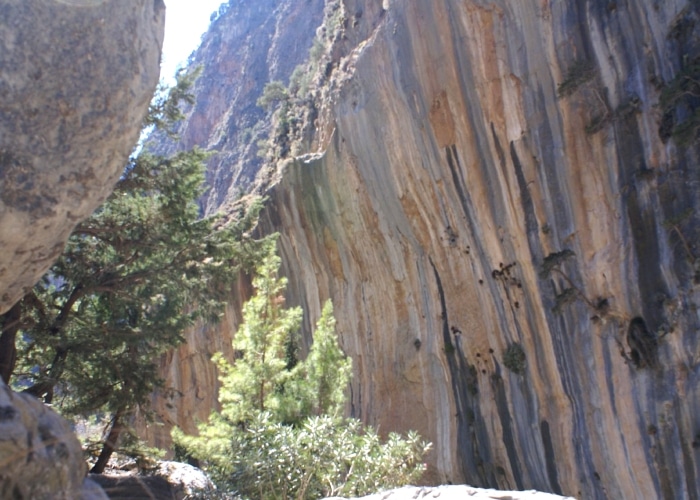 Crète - gorges Samaria