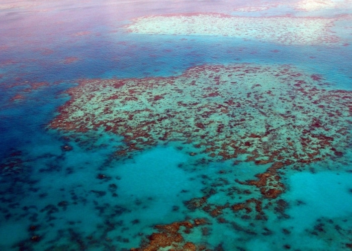 Grande Barrière de corail