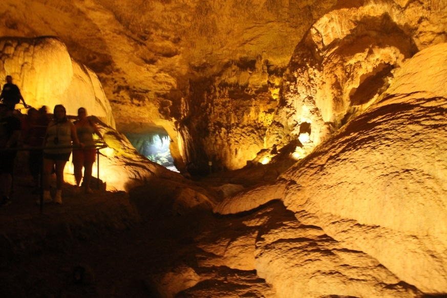 Porto Rico - Grottes Rio Camuy