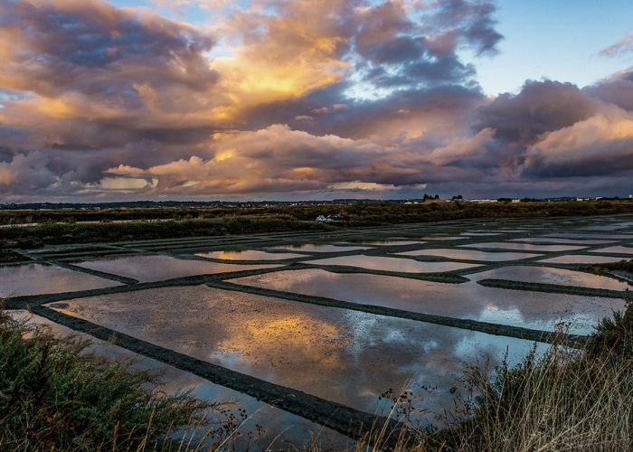 Pays de la Loire - Guérande