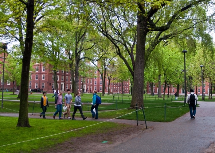 Boston - Harvard