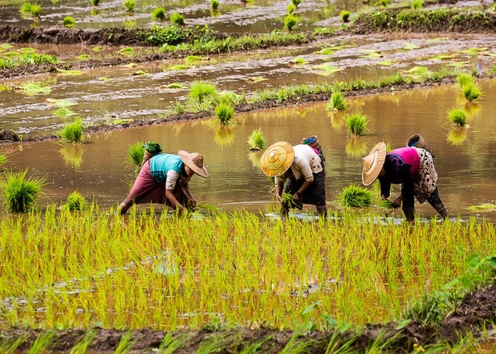 Myanmar - Hsipaw