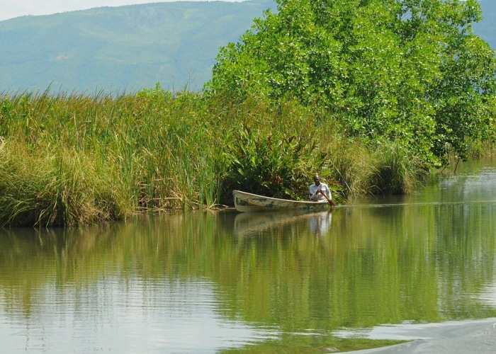 Jamaïque - Black River