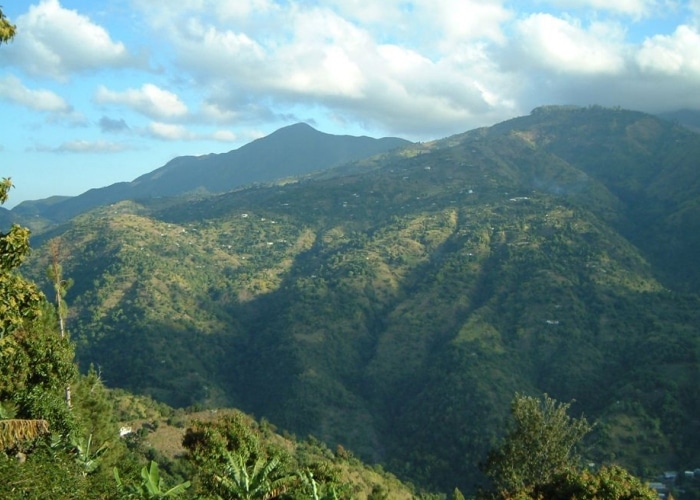 Jamaïque - Blue mountains