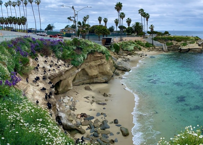 San diego - Jolla Cove