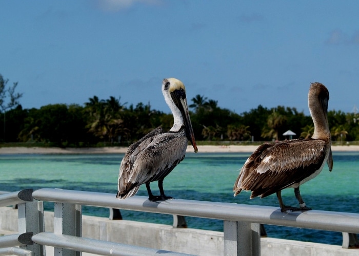 Key West