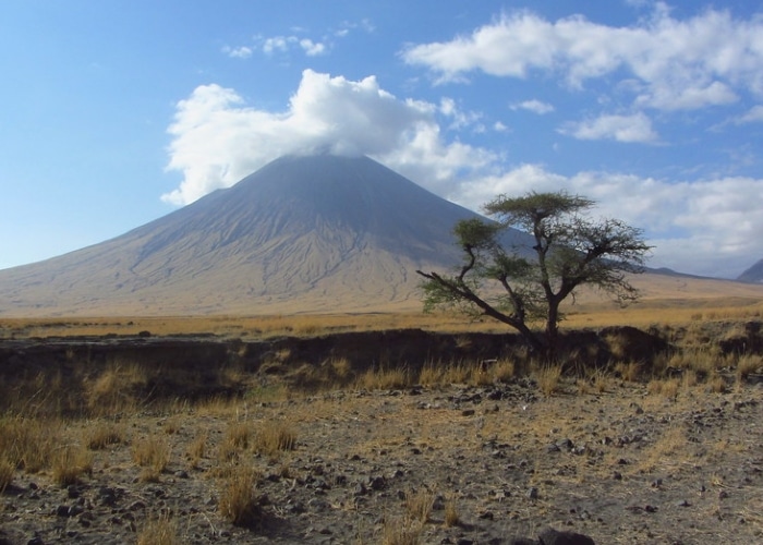 Tanzanie - Kilimandjaro
