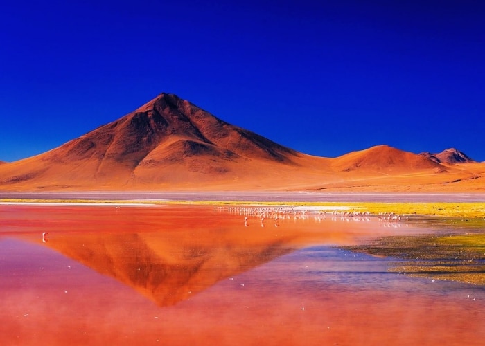 Bolivie - laguna Colorado
