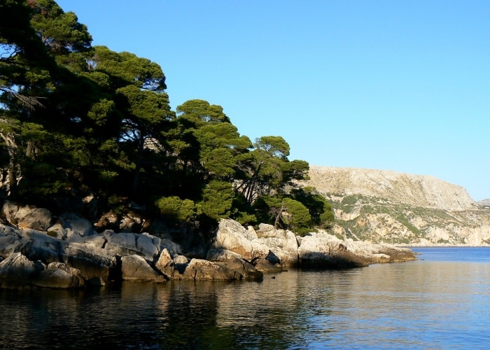 Dubrovnik - Île de Lokrum