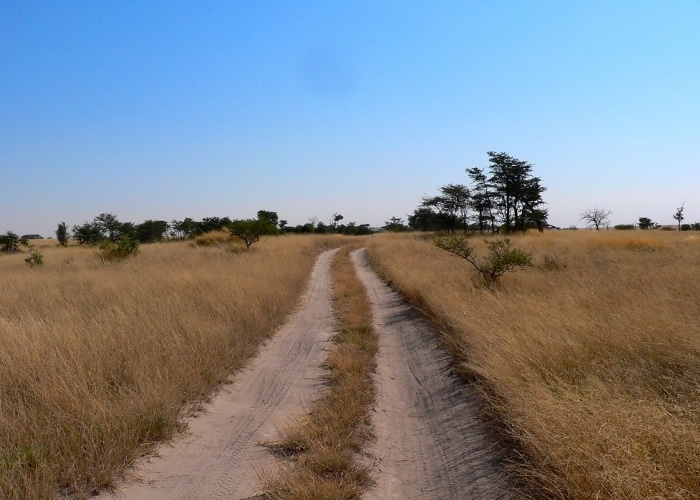 Botswana - Makgadikgadi Park