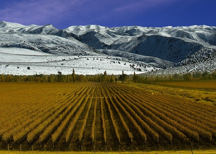 Argentine - Mendoza