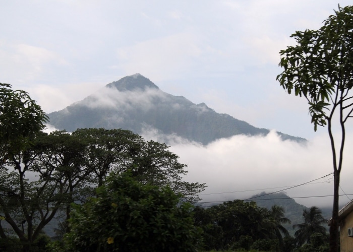 Mont Cameroun