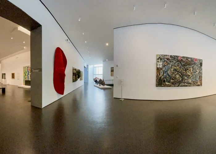 Museum of Fine Arts de Houston