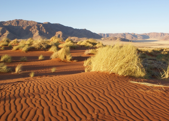 Namibrand RESERVE