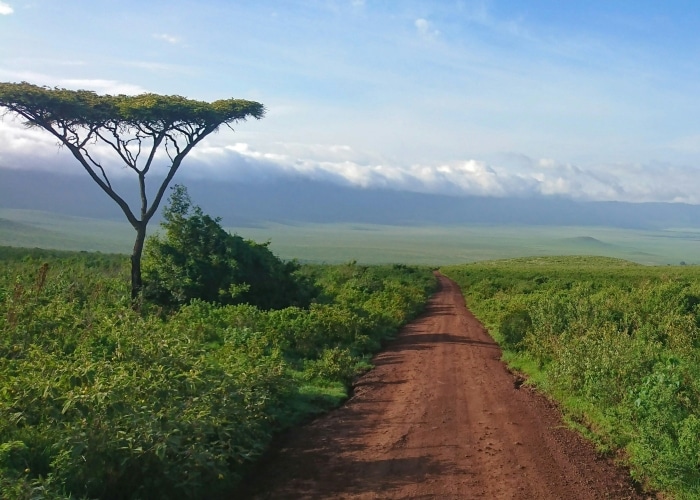 Tanzanie - Ngorongoro