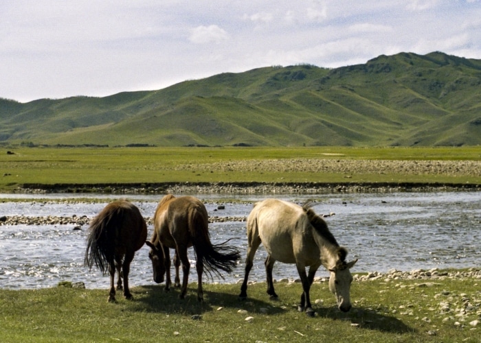 Mongolie - Orkhon Valley