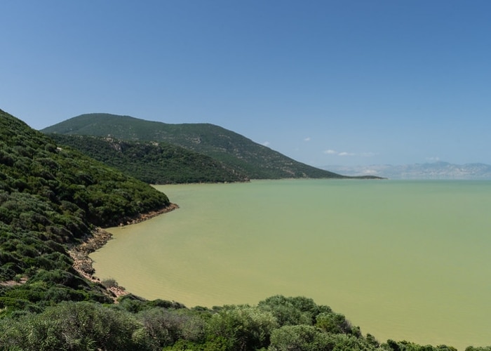 Tunisie - Parc Ichkeul