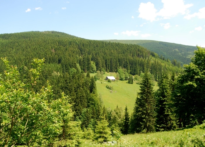 République Tchèque - Parc Krkonoše