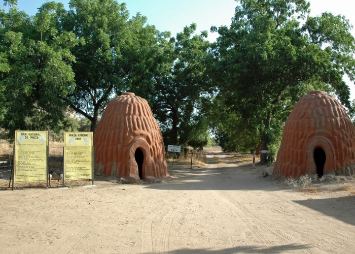 Cameroun - Parc du Waza