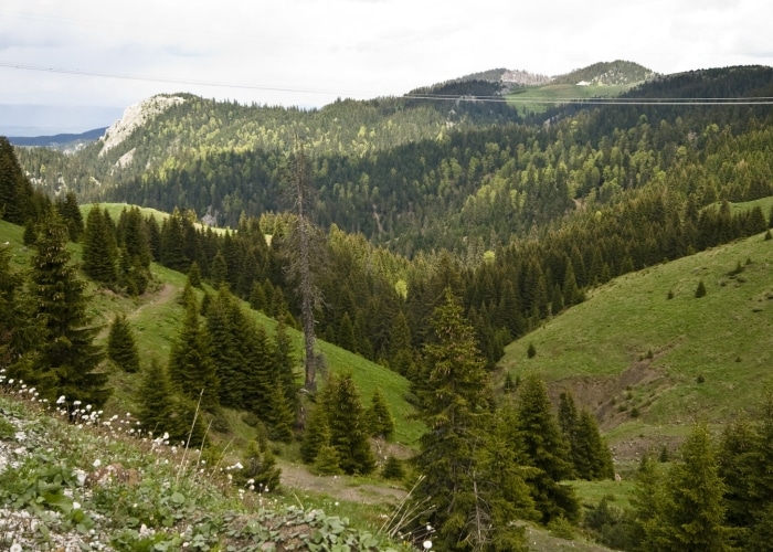 Kosovo - Peja