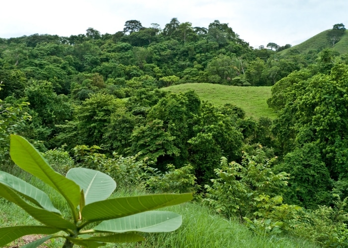Panama - péninsule d’Azuero