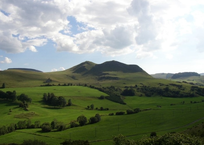 Auvergne - plateau du Cézallier