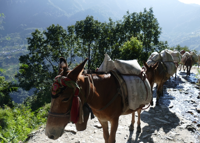Népal - Poon Hill