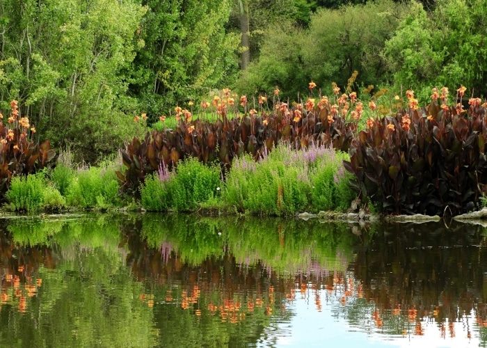 Melbourne - Royal Botanic Gardens
