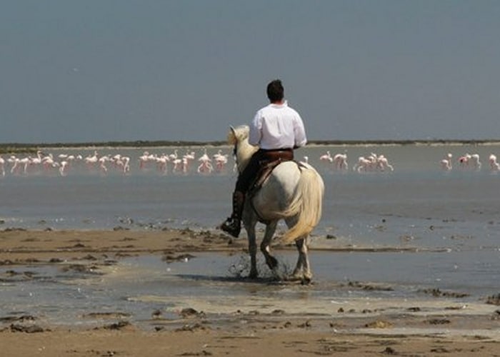 Camargue - Saintes-Maries-de-la-Mer