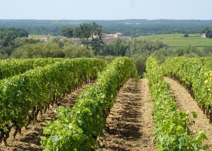 Bordeaux - Sauternes