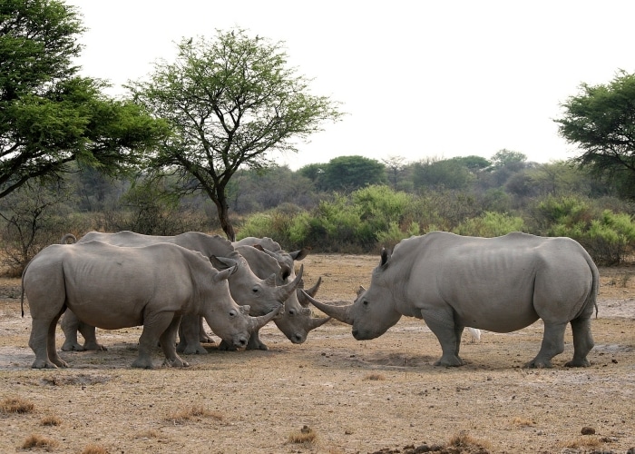 Botswana - Serowe