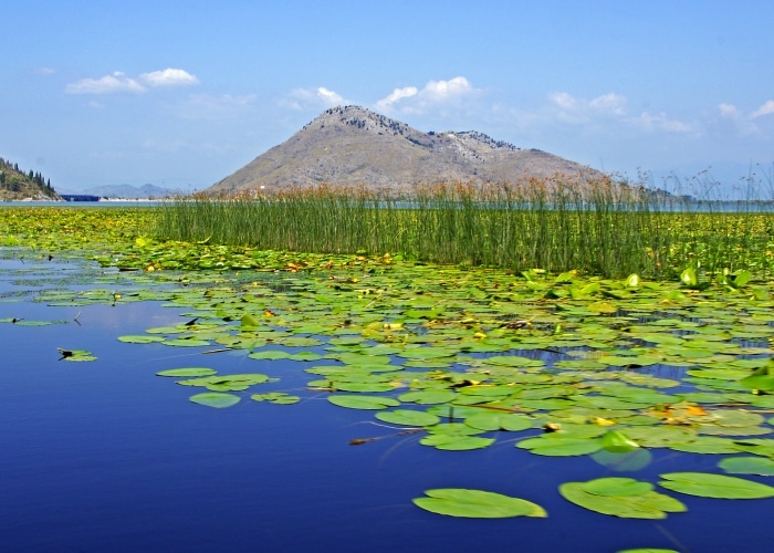 Monténégro - Skadar Lake