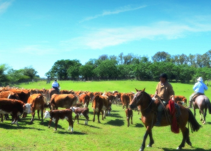 Uruguay - Tacuarembó