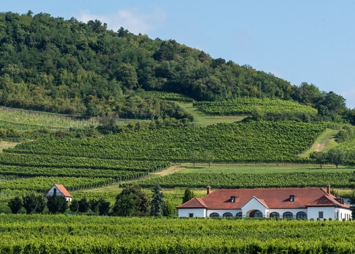 Hongrie - Tokaj
