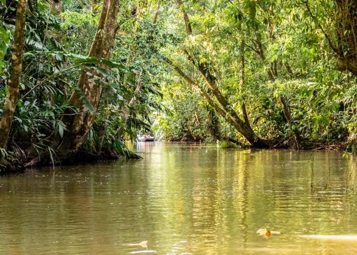 Costa Rica - parc Tortuguero